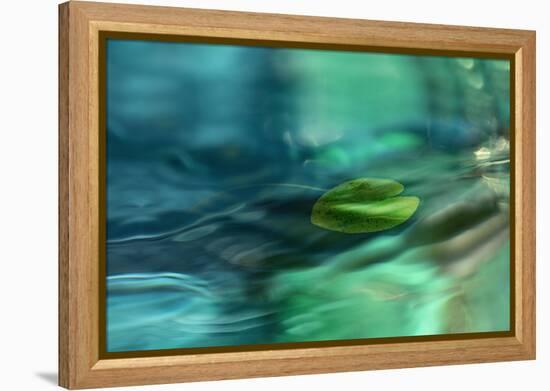 Just floating-Heidi Westum-Framed Premier Image Canvas