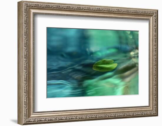 Just floating-Heidi Westum-Framed Photographic Print