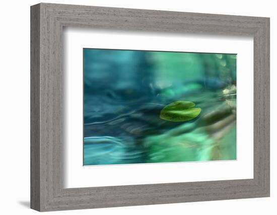 Just floating-Heidi Westum-Framed Photographic Print