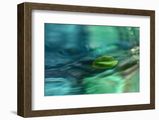 Just floating-Heidi Westum-Framed Photographic Print