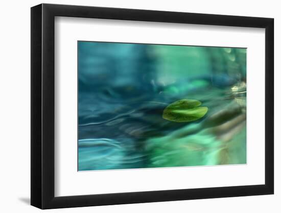 Just floating-Heidi Westum-Framed Photographic Print