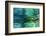 Just floating-Heidi Westum-Framed Photographic Print