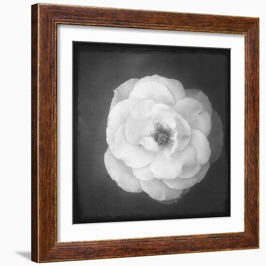 Just Let Go-Philippe Sainte-Laudy-Framed Photographic Print