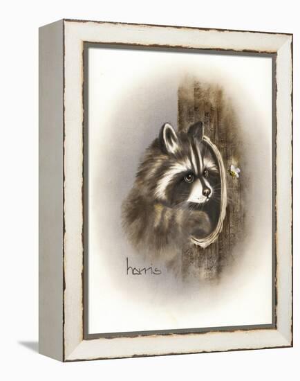 Just Lookin-Peggy Harris-Framed Premier Image Canvas