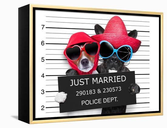 Just Married Mugshot-Javier Brosch-Framed Premier Image Canvas