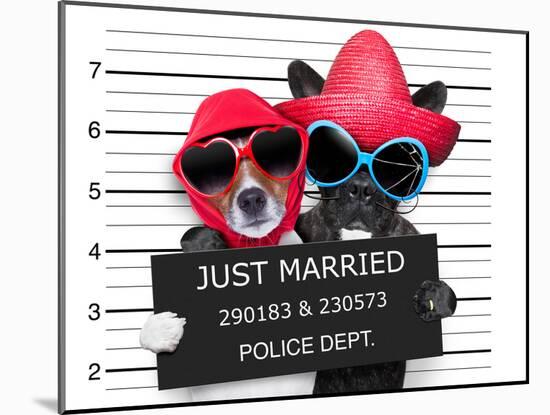 Just Married Mugshot-Javier Brosch-Mounted Photographic Print