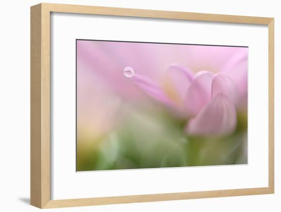 Just One-Heidi Westum-Framed Photographic Print