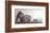 Just Picked-Ray Hendershot-Framed Art Print