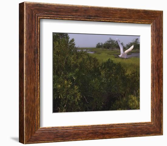 Just Pretty-Steve Hunziker-Framed Art Print