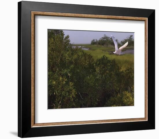 Just Pretty-Steve Hunziker-Framed Art Print