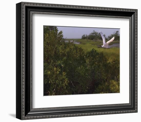 Just Pretty-Steve Hunziker-Framed Art Print