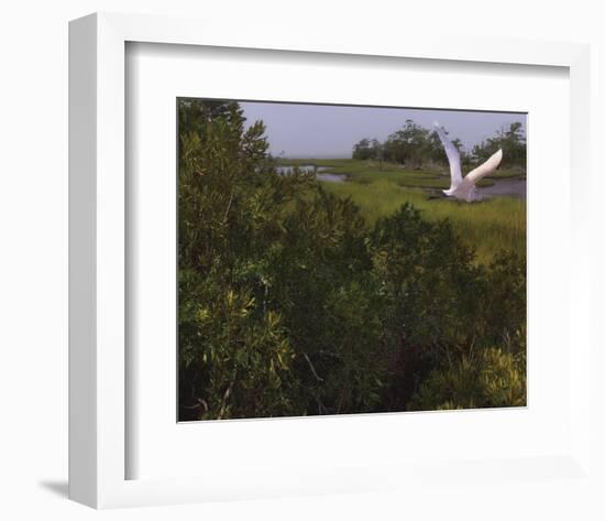 Just Pretty-Steve Hunziker-Framed Art Print