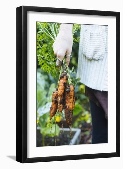 Just Pulled Carrots Out Of The Garden-Justin Bailie-Framed Photographic Print
