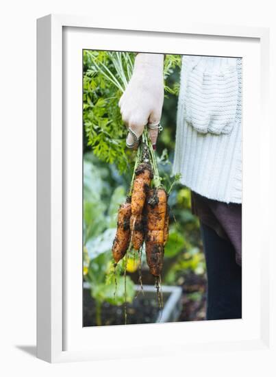 Just Pulled Carrots Out Of The Garden-Justin Bailie-Framed Photographic Print