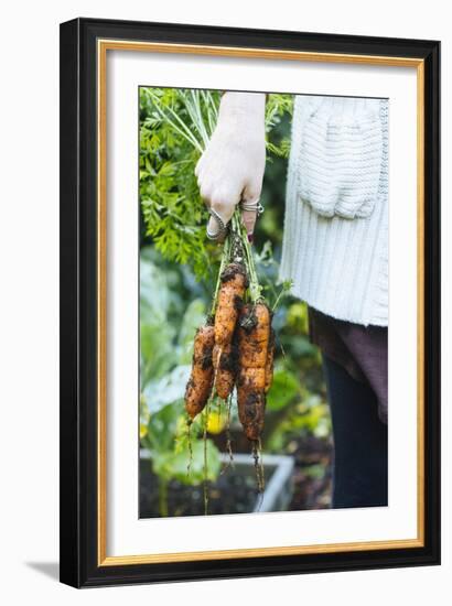 Just Pulled Carrots Out Of The Garden-Justin Bailie-Framed Photographic Print