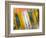 Just Reflections-Adrian Campfield-Framed Photographic Print