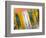 Just Reflections-Adrian Campfield-Framed Photographic Print