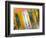 Just Reflections-Adrian Campfield-Framed Photographic Print