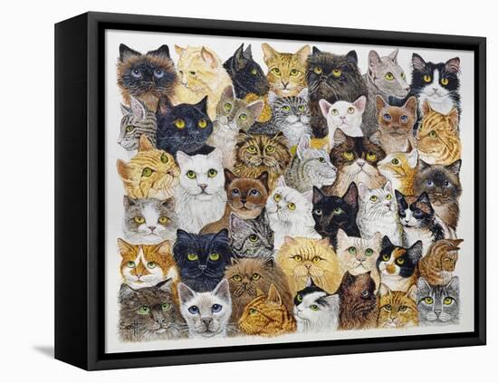 Just the Cat's Whisker-Pat Scott-Framed Premier Image Canvas