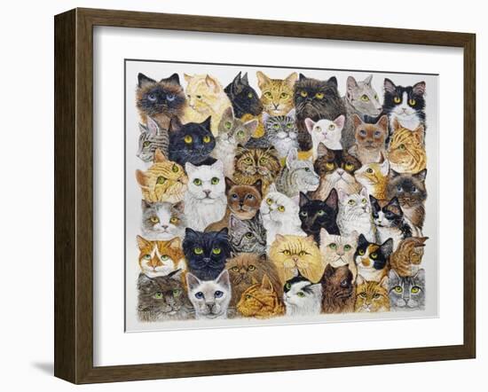 Just the Cat's Whisker-Pat Scott-Framed Giclee Print