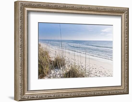 Just the Spot-Mary Lou Johnson-Framed Art Print