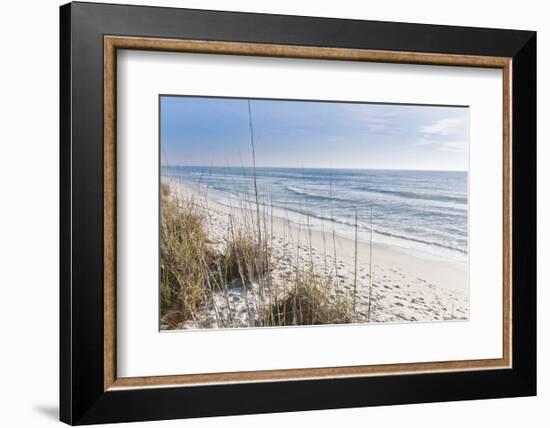 Just the Spot-Mary Lou Johnson-Framed Art Print