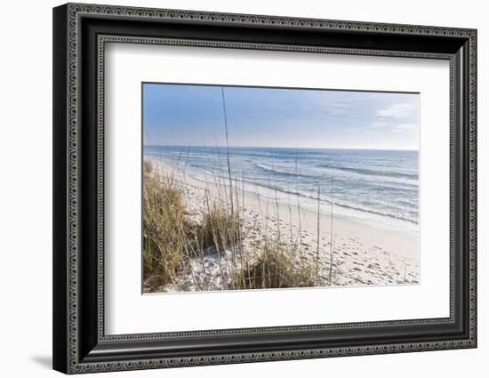 Just the Spot-Mary Lou Johnson-Framed Art Print