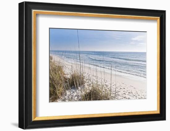 Just the Spot-Mary Lou Johnson-Framed Art Print