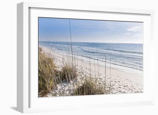 Just the Spot-Mary Lou Johnson-Framed Art Print