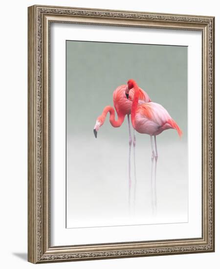 Just We Two...-Anna Cseresnjes-Framed Photographic Print