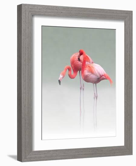 Just We Two...-Anna Cseresnjes-Framed Photographic Print