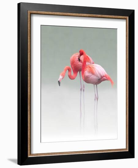 Just We Two...-Anna Cseresnjes-Framed Photographic Print