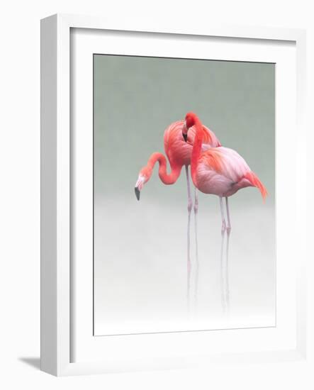 Just We Two...-Anna Cseresnjes-Framed Photographic Print