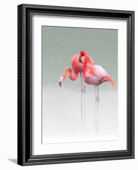 Just We Two...-Anna Cseresnjes-Framed Photographic Print