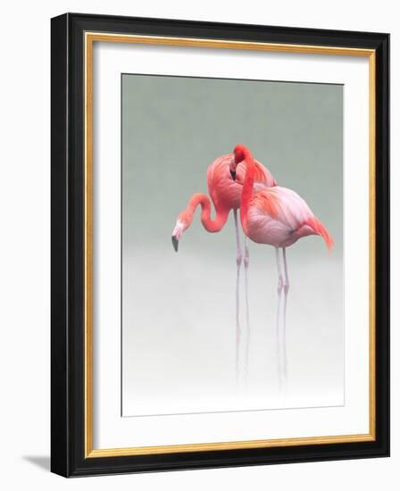 Just We Two...-Anna Cseresnjes-Framed Photographic Print