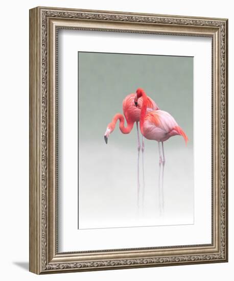 Just We Two...-Anna Cseresnjes-Framed Photographic Print