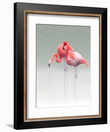 Just We Two...-Anna Cseresnjes-Framed Photographic Print