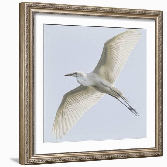 Just Wings-Wink Gaines-Framed Giclee Print