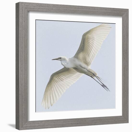 Just Wings-Wink Gaines-Framed Giclee Print