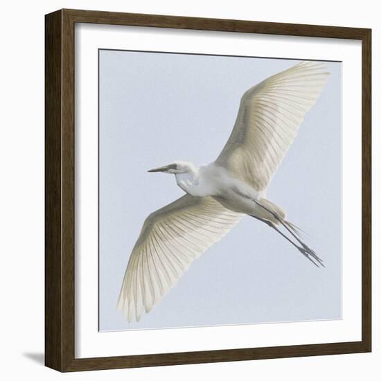 Just Wings-Wink Gaines-Framed Giclee Print