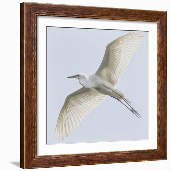 Just Wings-Wink Gaines-Framed Giclee Print