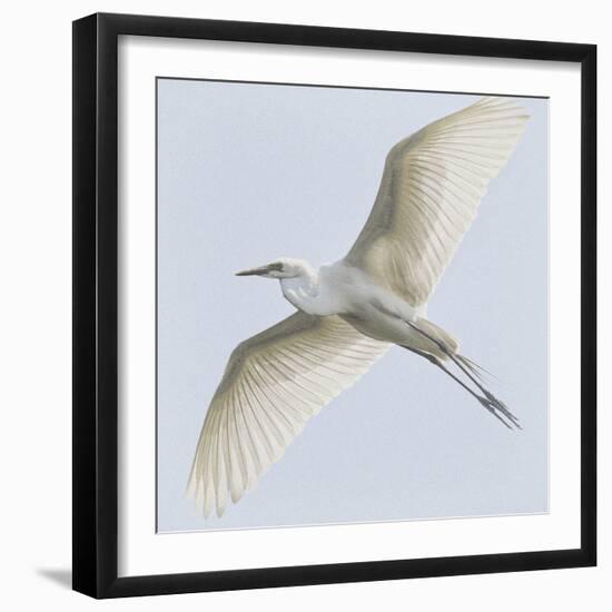 Just Wings-Wink Gaines-Framed Giclee Print