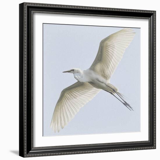 Just Wings-Wink Gaines-Framed Giclee Print