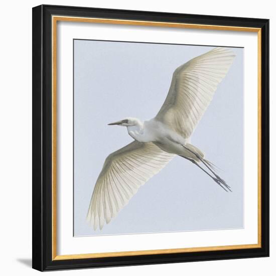 Just Wings-Wink Gaines-Framed Giclee Print