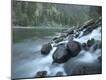 Photographic Print