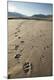 Premium Photographic Print