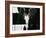 Justin Bieber-null-Framed Photo