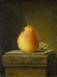 Still Life with Fruit and Rummer, 1758-Justus Juncker-Framed Giclee Print