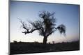 Premium Photographic Print