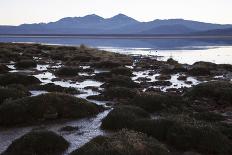 Chile, Pampas Incahuasi, Ischu Grass, Lagoon-Jutta Ulmer-Photographic Print
